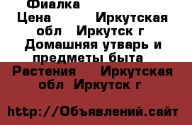 Фиалка Rosie Ruffles › Цена ­ 160 - Иркутская обл., Иркутск г. Домашняя утварь и предметы быта » Растения   . Иркутская обл.,Иркутск г.